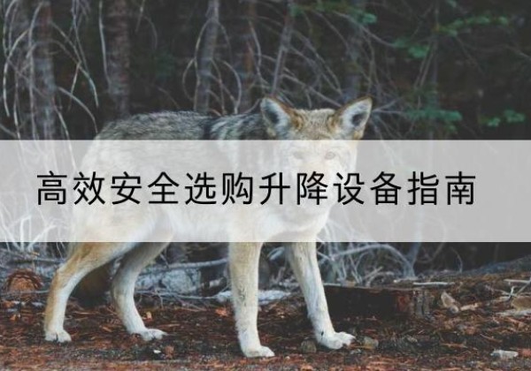 衢江升降货梯厂家推荐-*安全选购升降设备指南