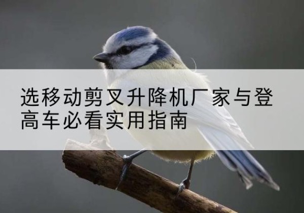 衢江电动升降机厂家-选移动剪叉升降机厂家与登高车必看实用指南