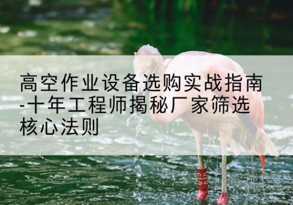 衢江剪叉式升降机厂家-高空作业设备选购实战指南-十年工程师揭秘厂家筛选核心法则